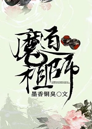 《魔道祖师》小说封面